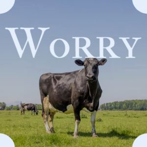 Worry