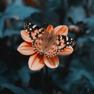 Mo Money Mo Problems (Explicit)