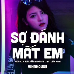 Sợ Đánh Mất Em (Vinahouse)