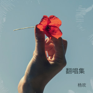 没有谁真正懂你的苦