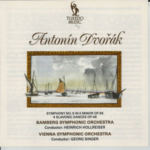 Symphony No. 9 in E Minor, Op. 95: II. Largo