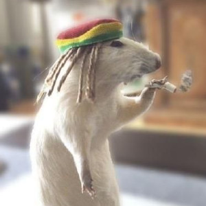 Pale Grass (Explicit)