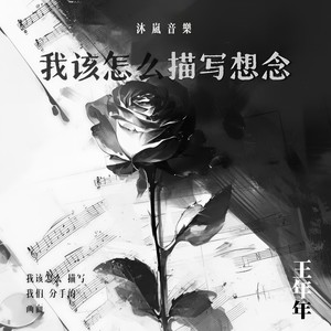 京仔 - 我该怎么描写思念 (DJ京仔版)