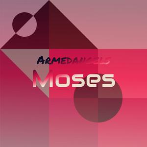Armedangels Moses