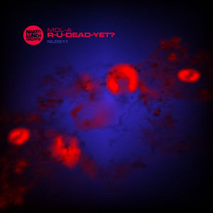 Hexadecimal (Original Mix)