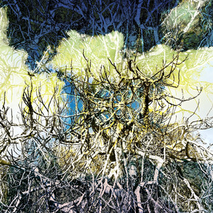 The Sun Disappeared (Aperture Expansion)