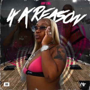 4 A Reason (Explicit)