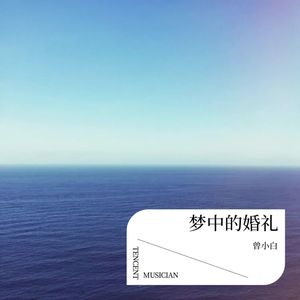 梦中的婚礼伴奏
