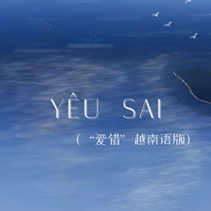 你星 - YÊU SAI (“爱错”越南语版)