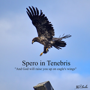 Spero in Tenebris