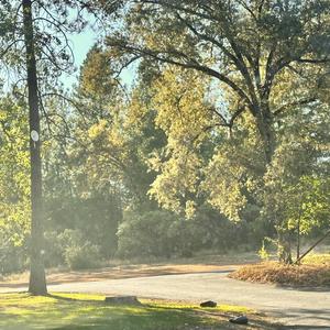 Its Whatever (Explicit)