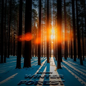 WINTER FOREST