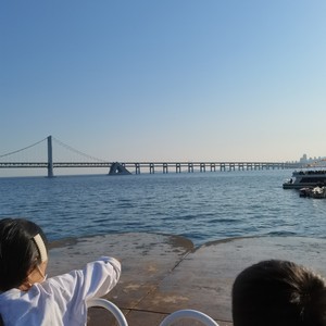 鱼
