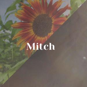 Mitch