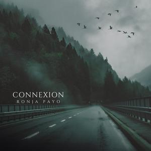 Connexion