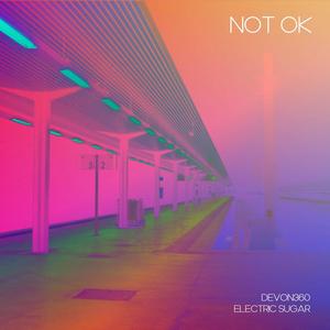 Not OK (Techno Version)