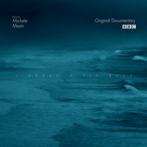 I Heard A Fly Buzz (Original Documentary Soundtrack)