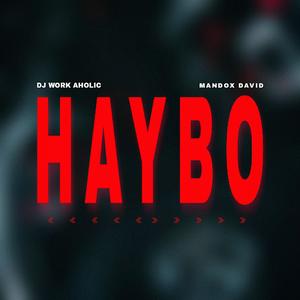 Haybo (Explicit)