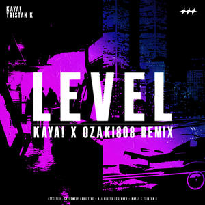 LEVEL (Remix)