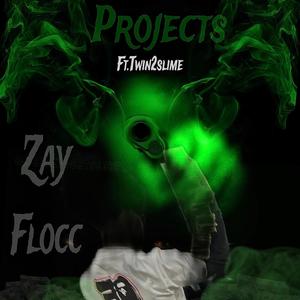 Projects (feat. Twin2slime) [Explicit]