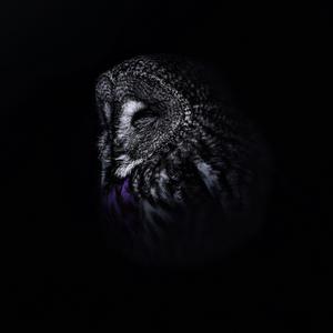 Je Nam Me Hart / Op 'N Mo (Explicit)