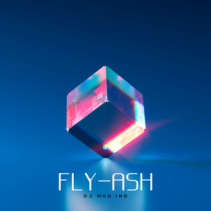 Fly-Ash