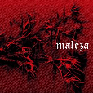 Fiori Del Male (feat. Drugo & La Mano) (Explicit)