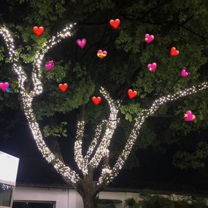 030树 (Prod by 树T.Ree)