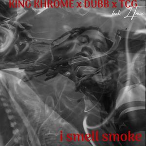 I Smell Smoke (feat. Dubb DaRula, TCG & L Train) (Explicit)