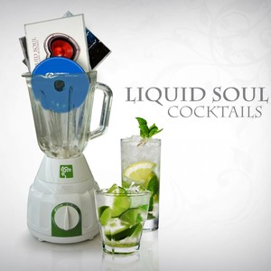 Space Bird (Liquid Soul Mix)