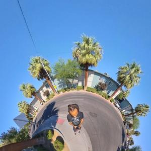 LASVEGAS HUMMINGBEES