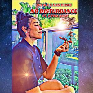 NO DISTURBANCE(feat. Cynn Sage)