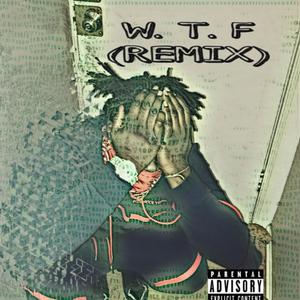 W.T.F (REMIX) [Explicit]