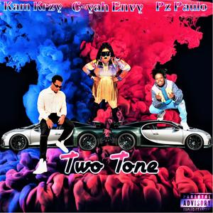 Two Tone (feat. Kam Krzy & Pz Paulo) [Explicit]