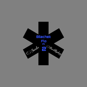 Bilechek Flow Pt.2 (Explicit)