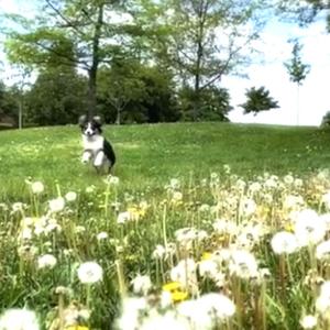 i only wanted her (Explicit)