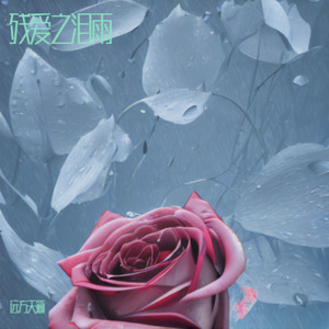 残爱之泪雨封面