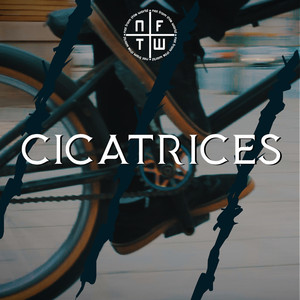 Cicatrices