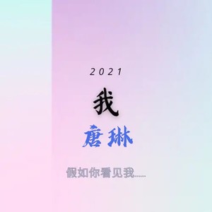 二三四个字 (Live) - 唐琳封面
