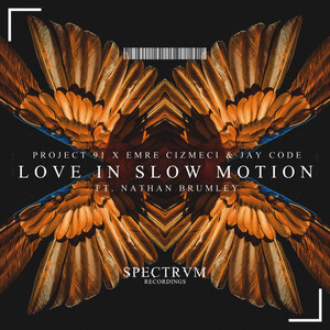 Love In Slow Motion