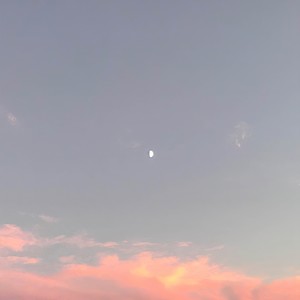 meaning of dreams
