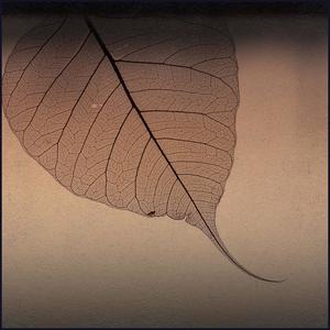 Babylon (feat. Aleko Nunez)