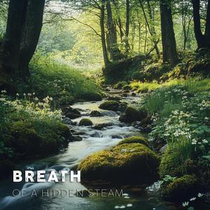 Breath of a Hidden Stream