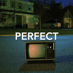 Perfect (feat. Jacob Haine) [Explicit]