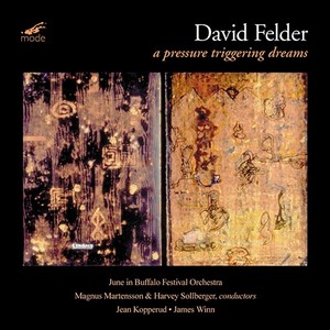 Felder, D.: Chamber and Orchestral Music (A Pressure Triggering Dreams) [Kopperud, Winn, June in Buffalo Festival Orchestra, M. Martensson]