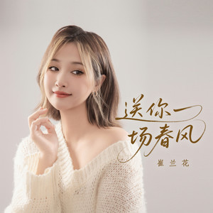 送你一场春风 (DJ道洋版)