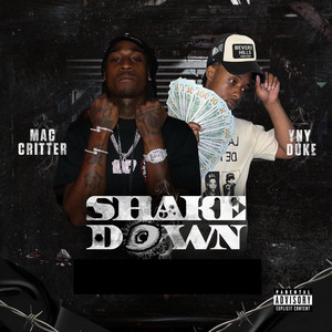 Shake Down (Explicit)