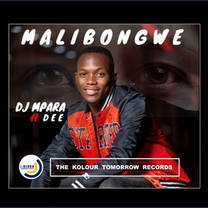 Malibongwe (feat. Diana Dee)