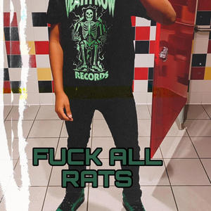 **** all rats (Explicit)