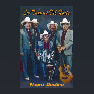 Negro Destino (黑人命运)